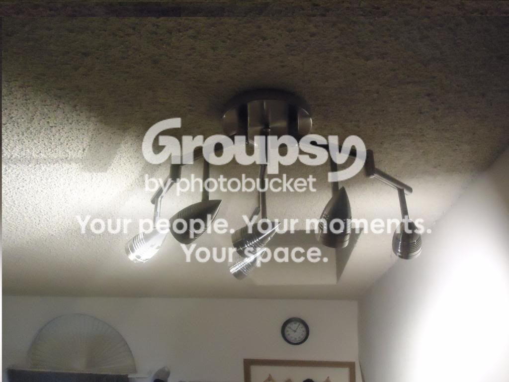 DSC02137.jpg