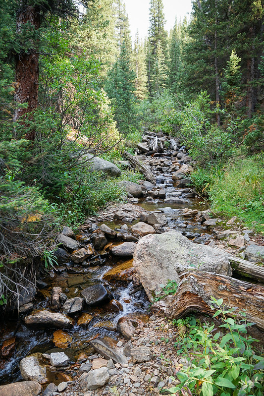 42383037560_8b813e3bb6_c.jpg