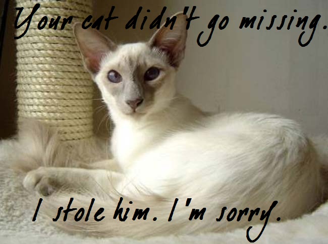 stolen-cat.jpg