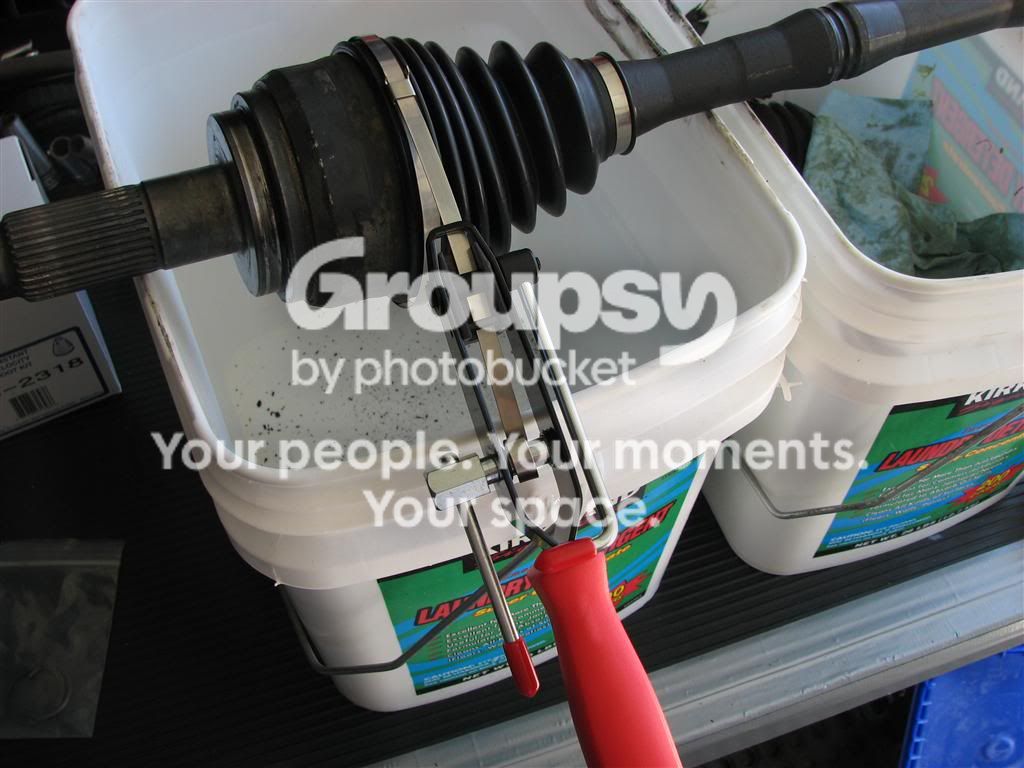 IMG_9300Medium.jpg~original