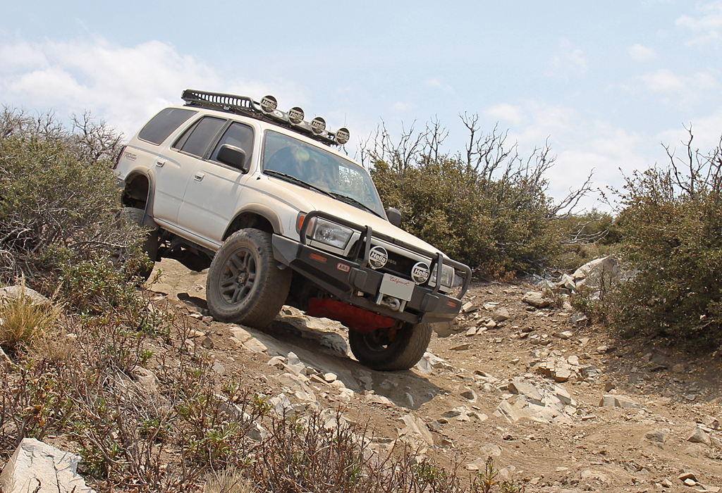 bbf_6-29-13_52.jpg
