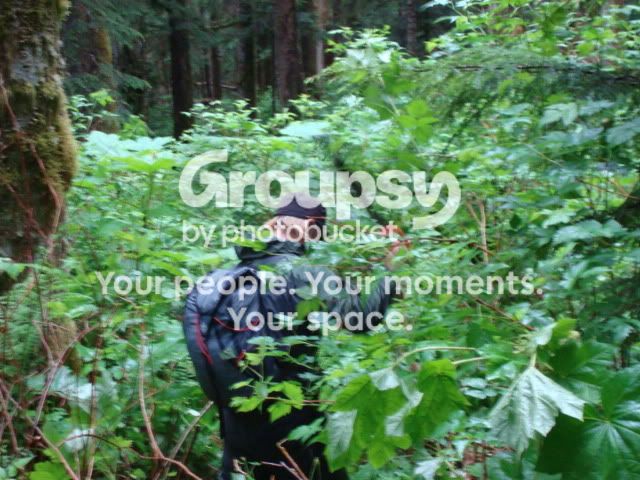 DSC02737.jpg~original