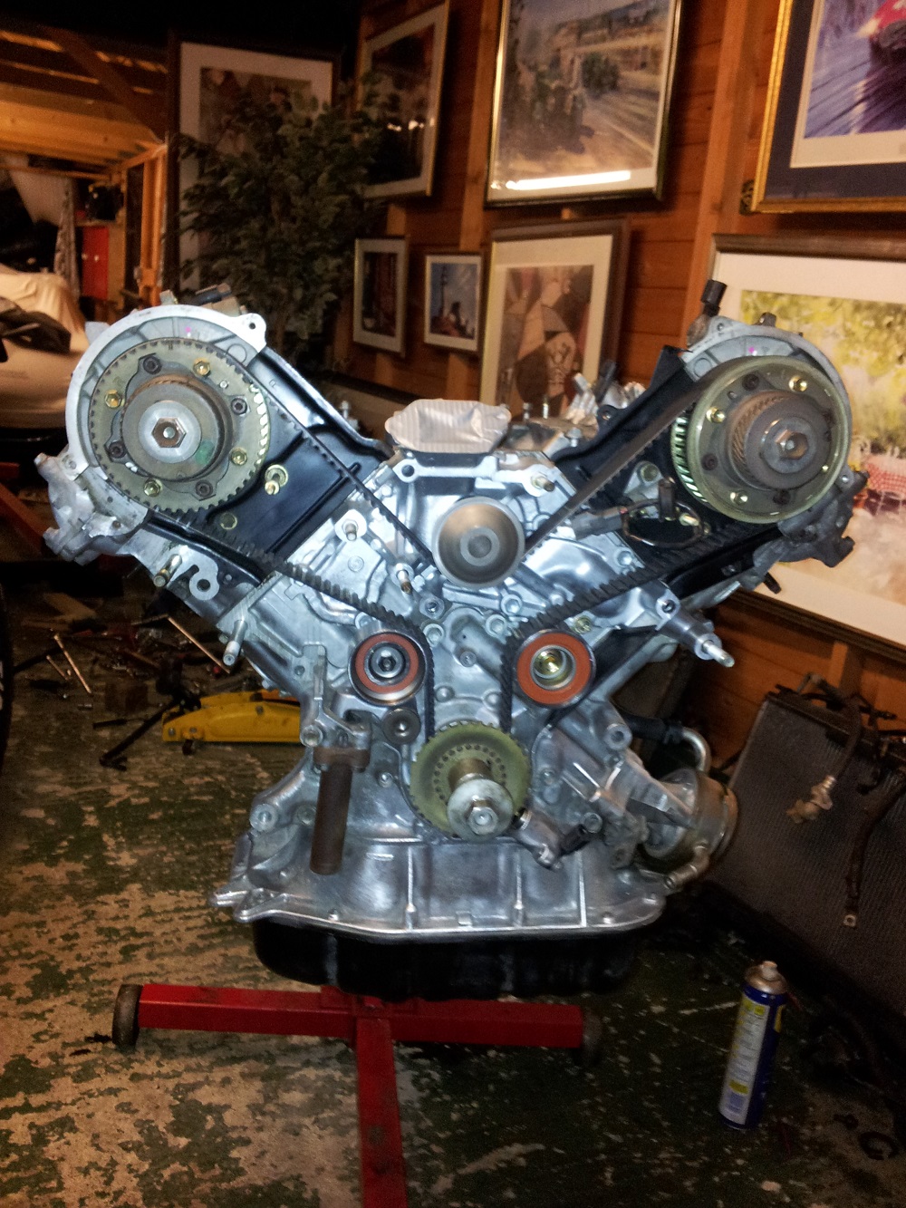 V818.jpg