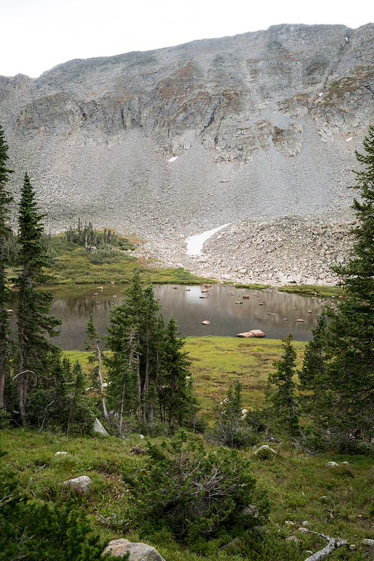 43196528182_08a29e6844_c.jpg