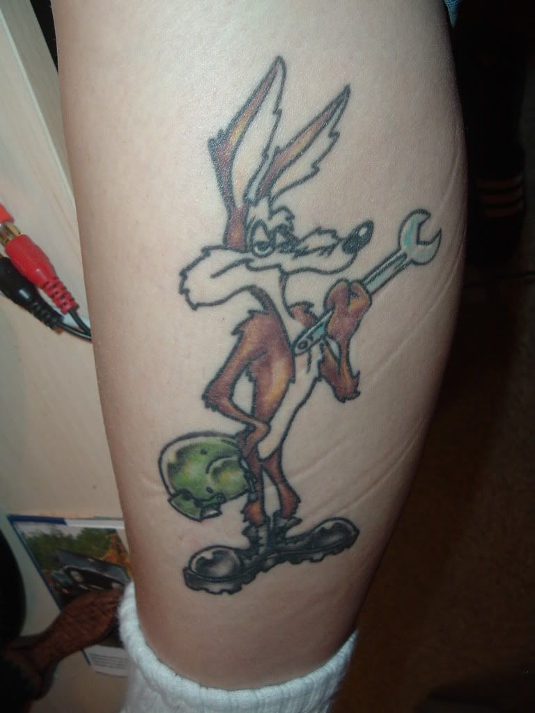 wileycoyote.jpg~original