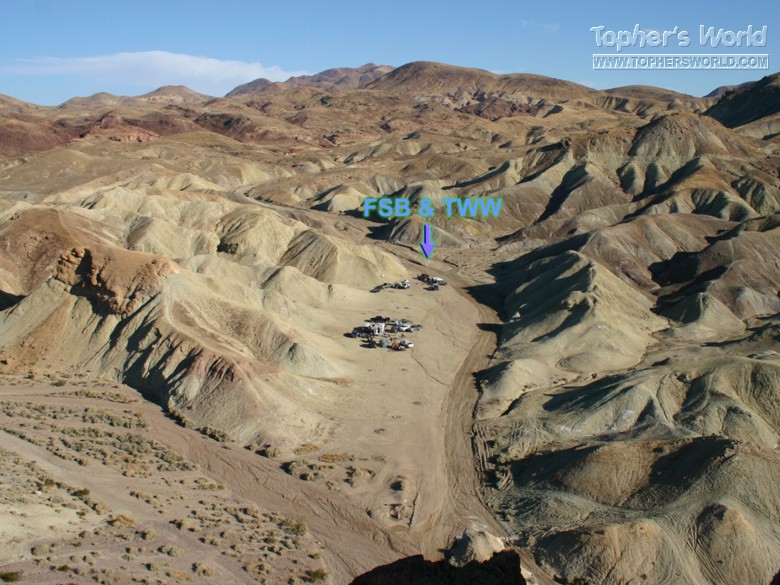 calico_005.jpg