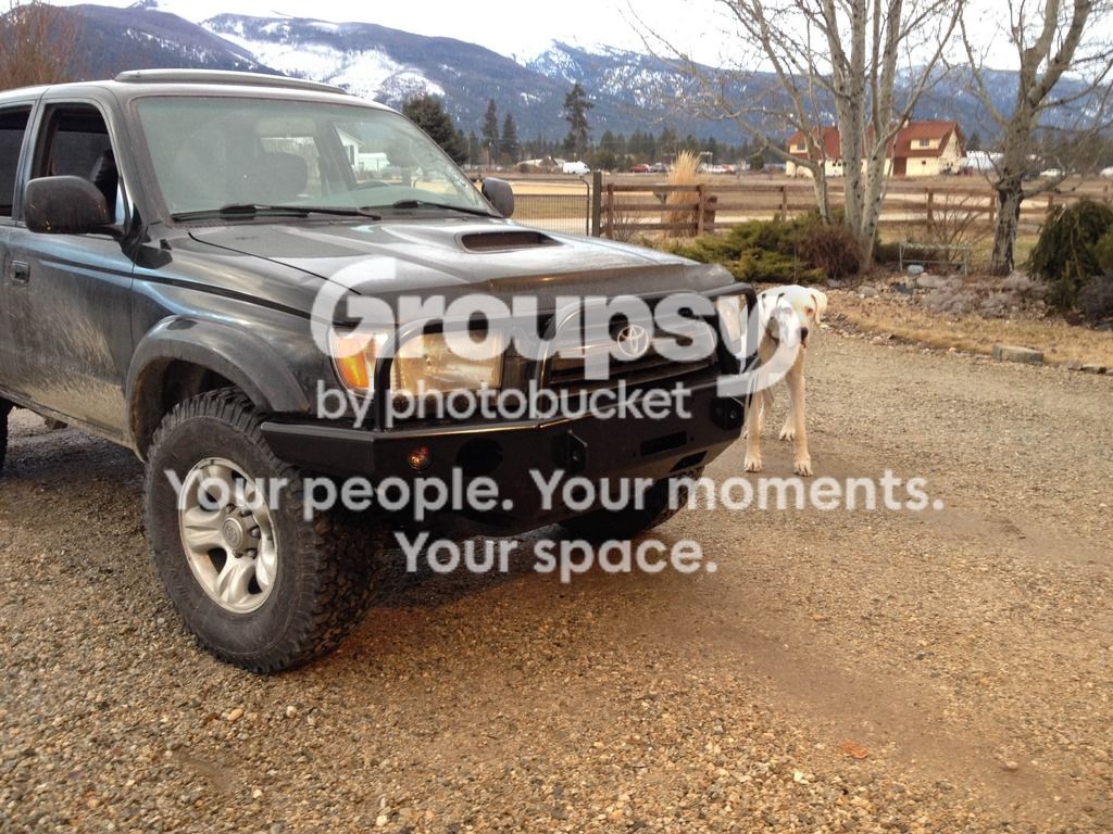IMG_8231_zpstrwznjcr.jpg~original