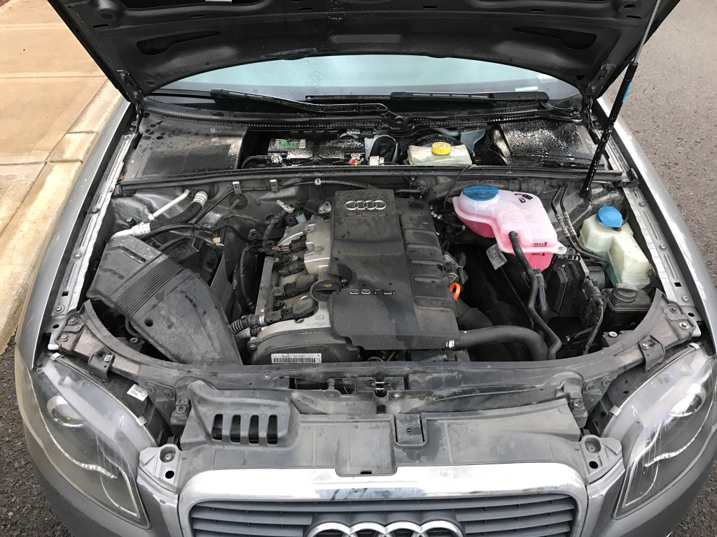 d875edcb14bc9c96a4b9a00077ef4949.jpg
