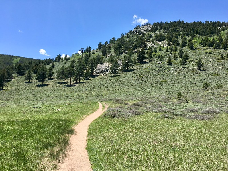 43244967801_2e867f3e69_c.jpg