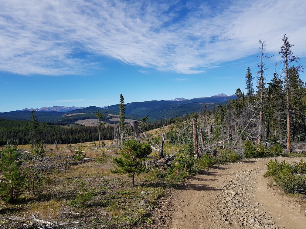 53101504185_1571c68144_b.jpg