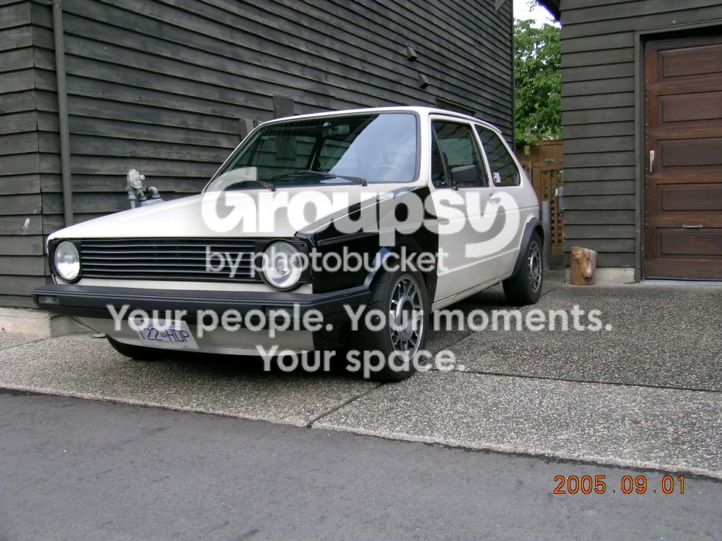 Rabbit_pic4.jpg