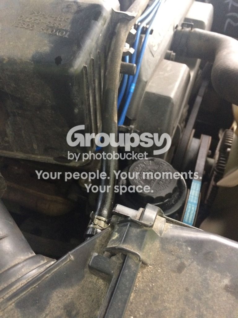 IMG_1922_zpsevycbgm3.jpg~original