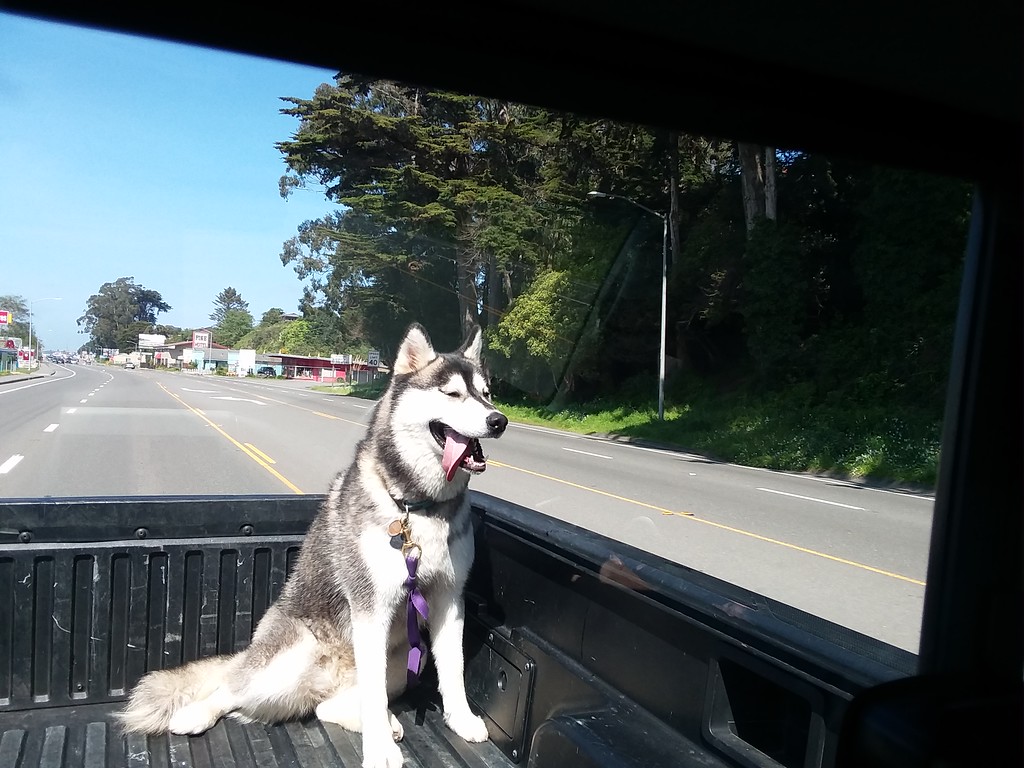 20190425_152547-XL.jpg