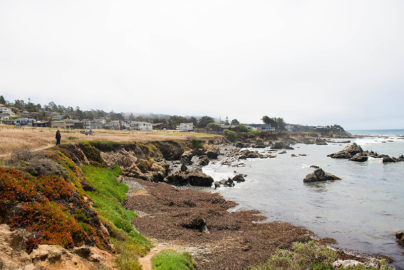 p1635221865-4.jpg