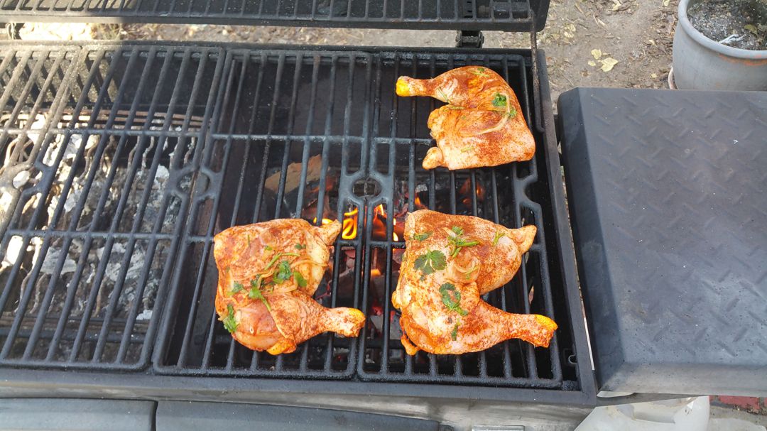 bbq_chicken_7_16_01.jpg