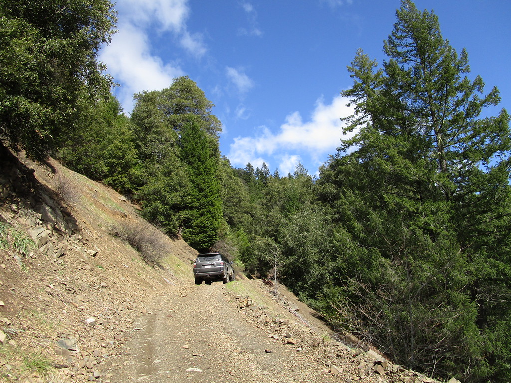 IMG_1062-XL.jpg