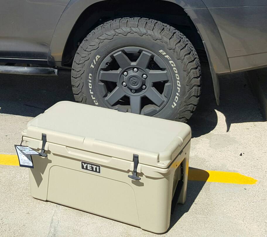 cfeb196cb33db5b6e796f140ca095891.jpg