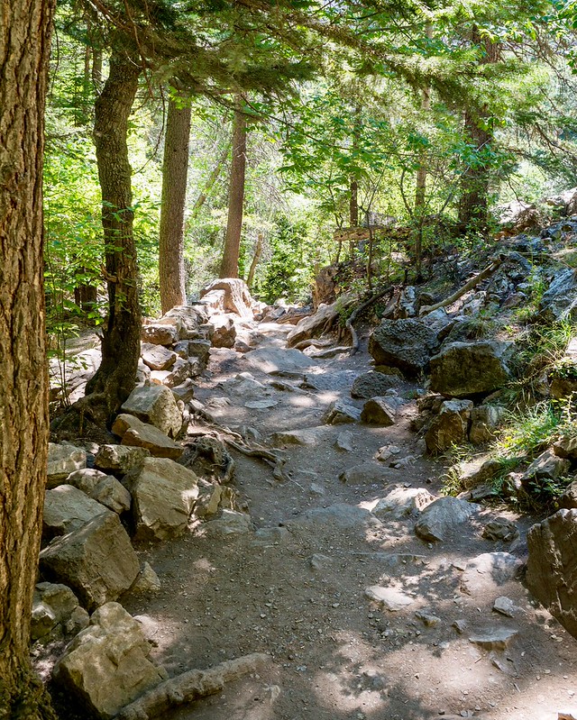 28376036927_464fa6a4d8_c.jpg