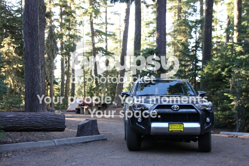 IMG_3981_zpsu5h3l3xc.jpg~original
