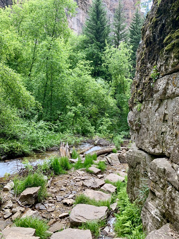 48315298976_221234122e_c.jpg