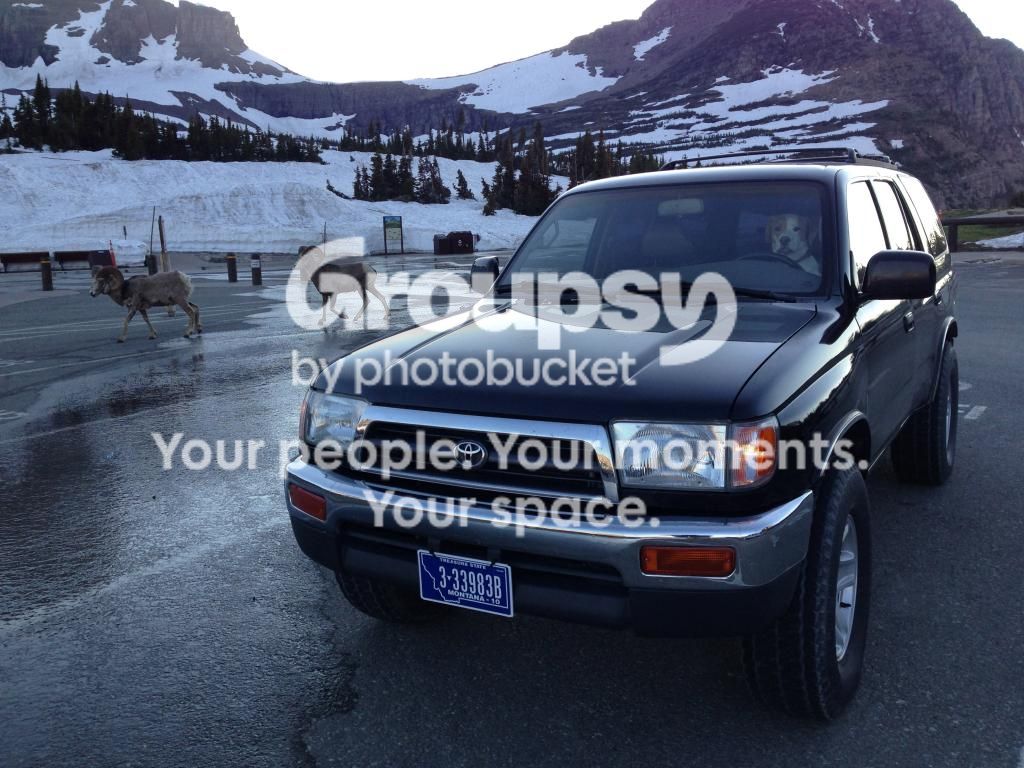 IMG_6038_zps02d51df6.jpg~original