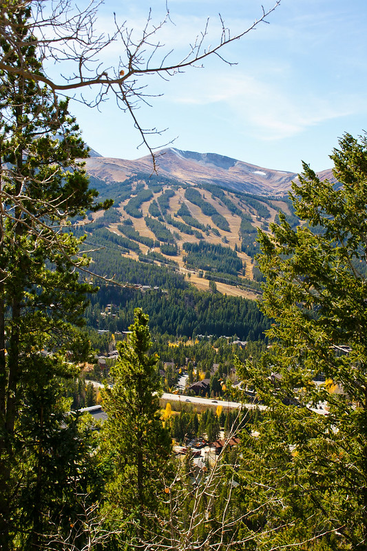 22098646635_fe54876ed6_c.jpg