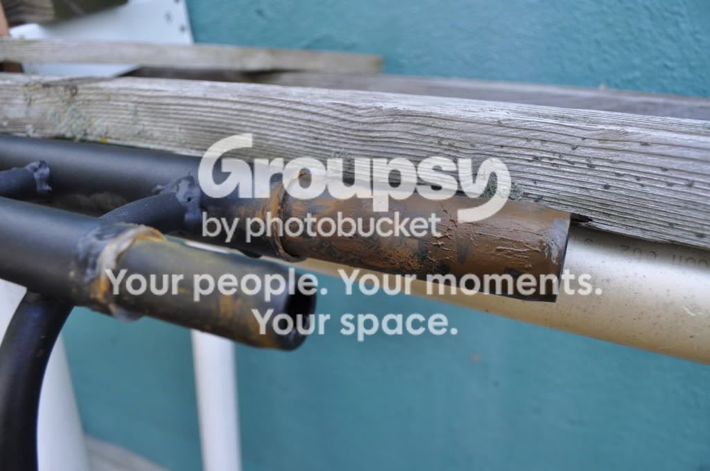 DSC_1408.jpg~original