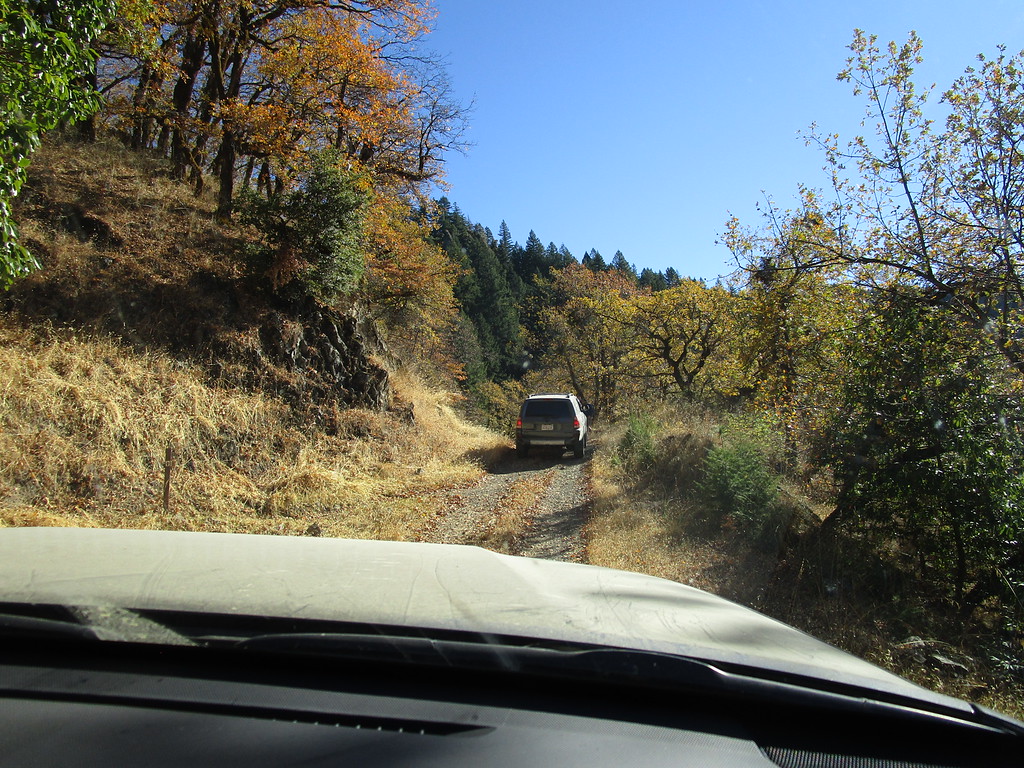 IMG_2761-XL.jpg