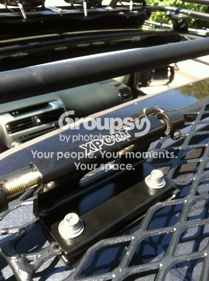 IMG_8422.jpg~original