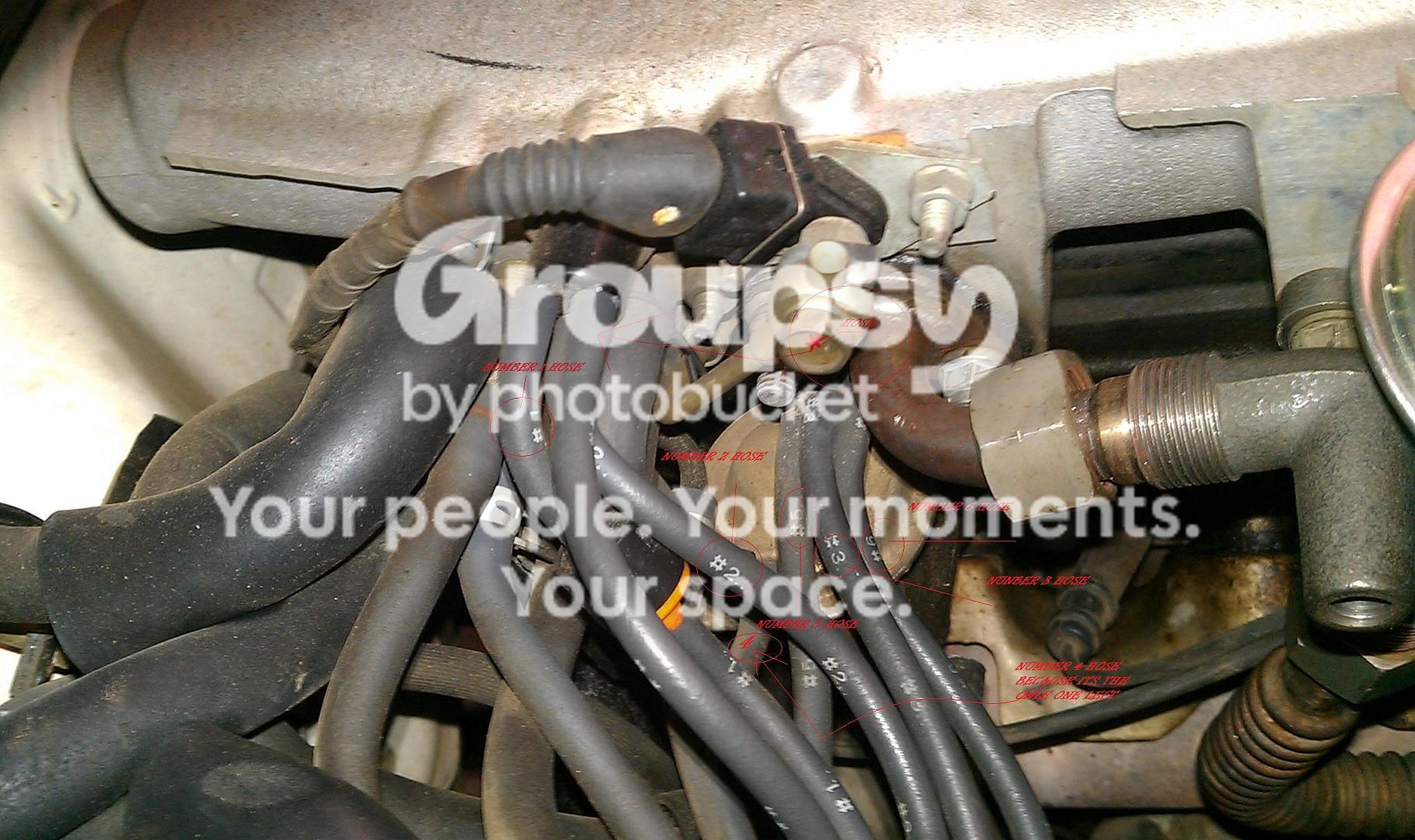hoses2.jpg~original