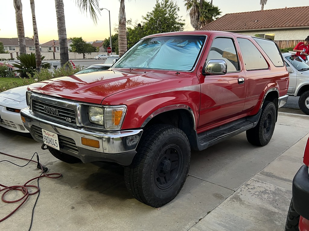 52197342531_662e0bffac_b.jpg