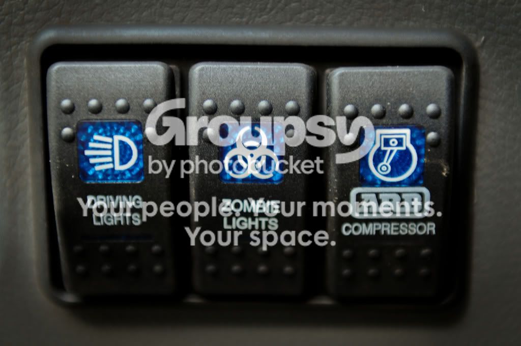 arb2.jpg~original