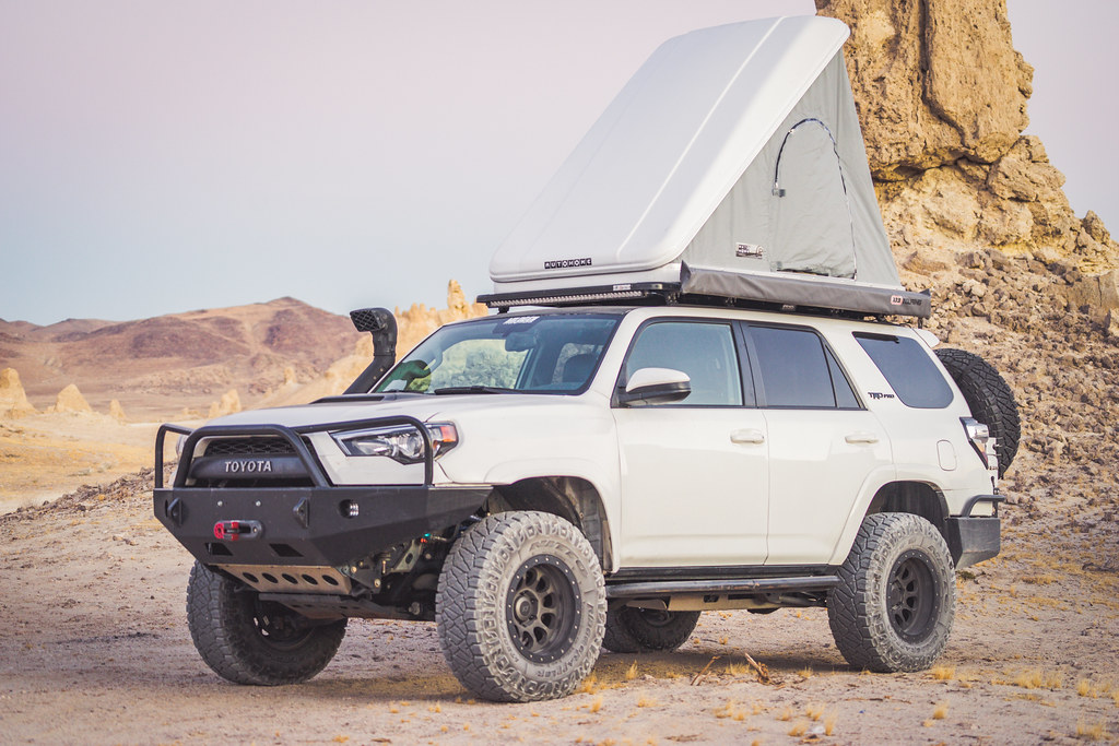 49024074417_9e86287c75_b.jpg