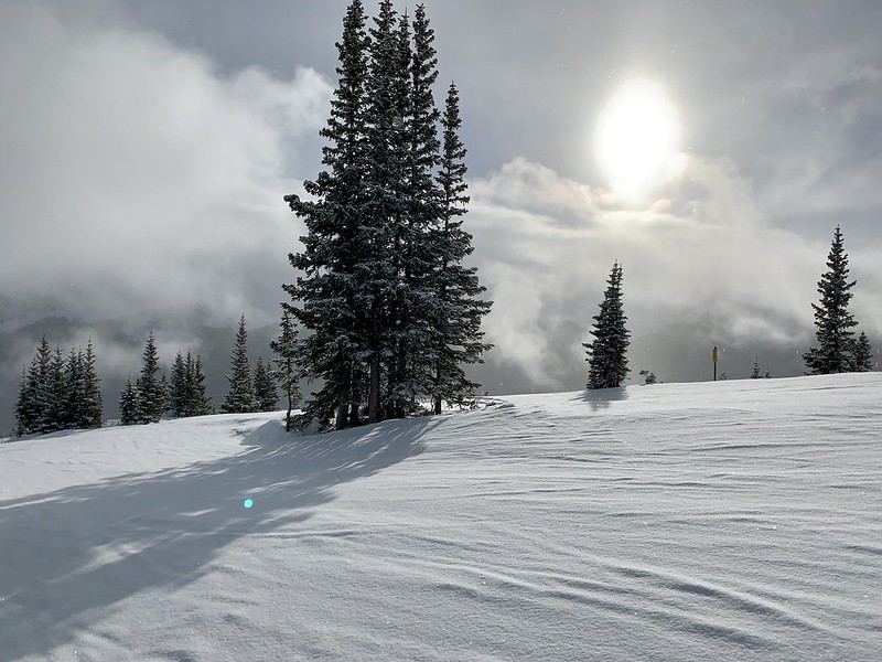 46402445152_45e72d8bb7_c.jpg