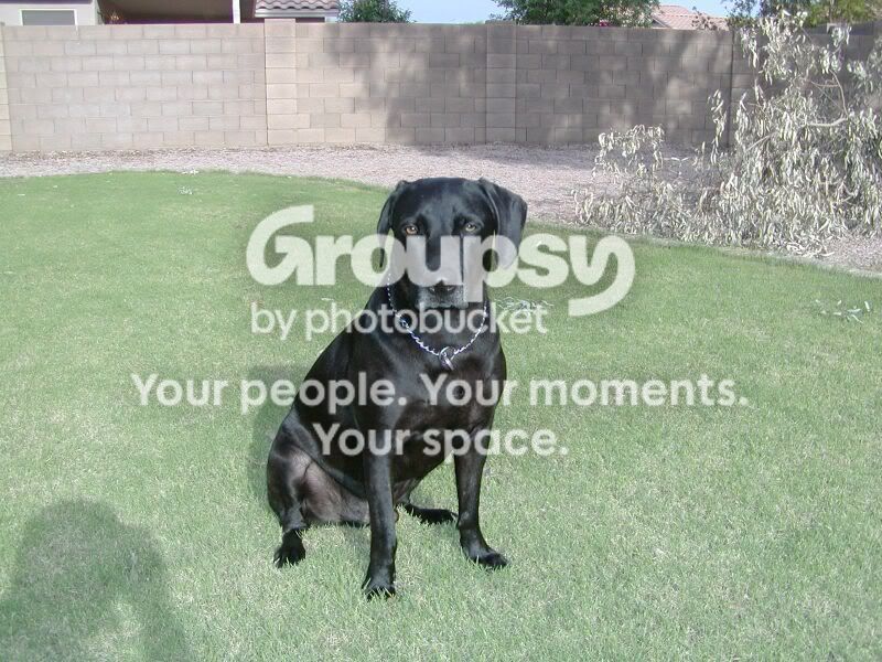 bogey002.jpg~original