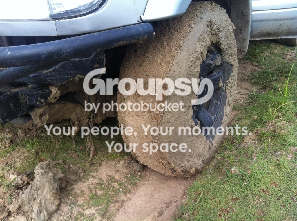 IMG_2989.jpg~original