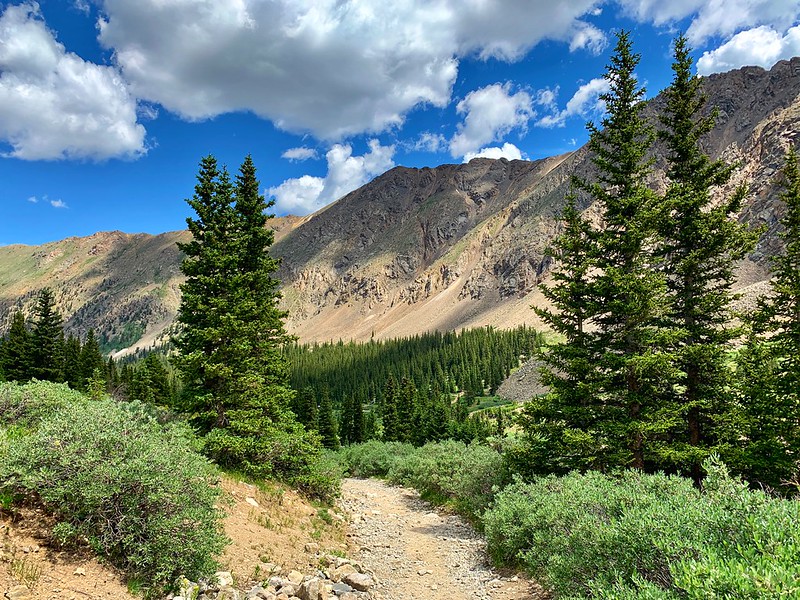 48520964562_a3e3060acf_c.jpg