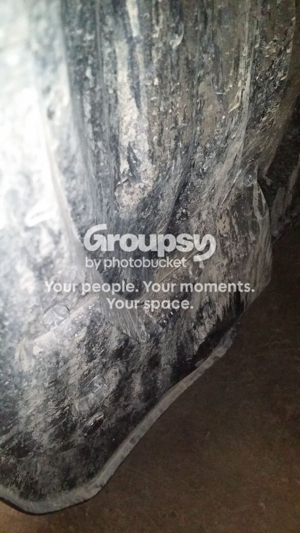 20150719_141219.jpg~original