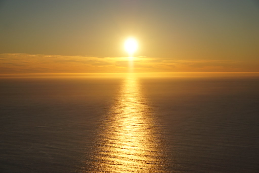 32563325376_59945dcd23_b.jpg