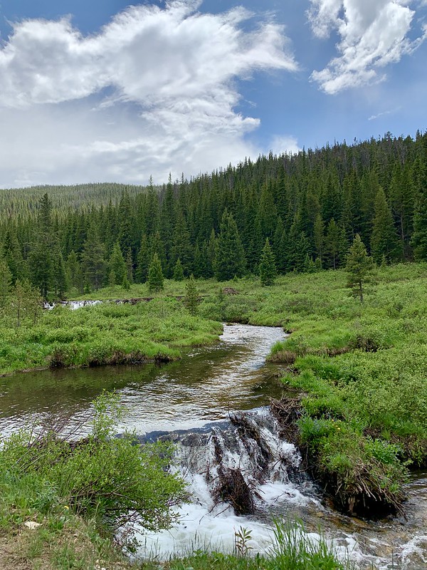 48315155891_c661818a02_c.jpg