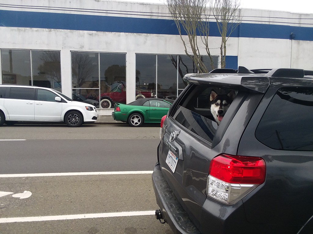 20190128_163636-XL.jpg