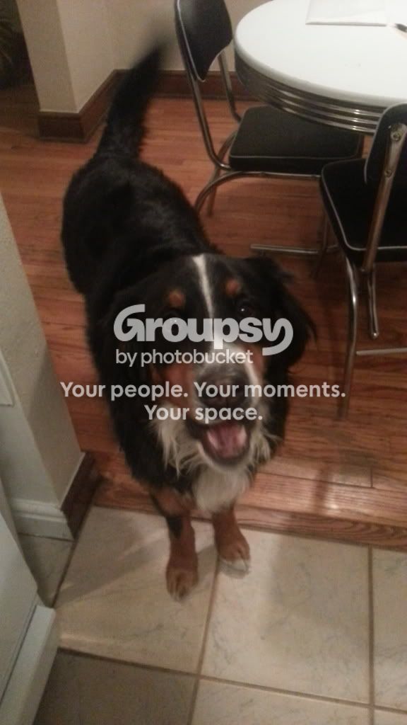 20130103_210954_zpse8ae5390.jpg~original