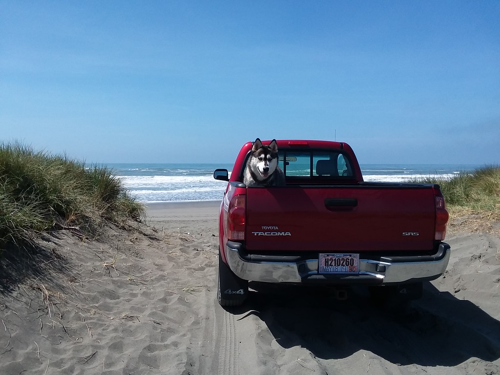 20190425_143043-XL.jpg