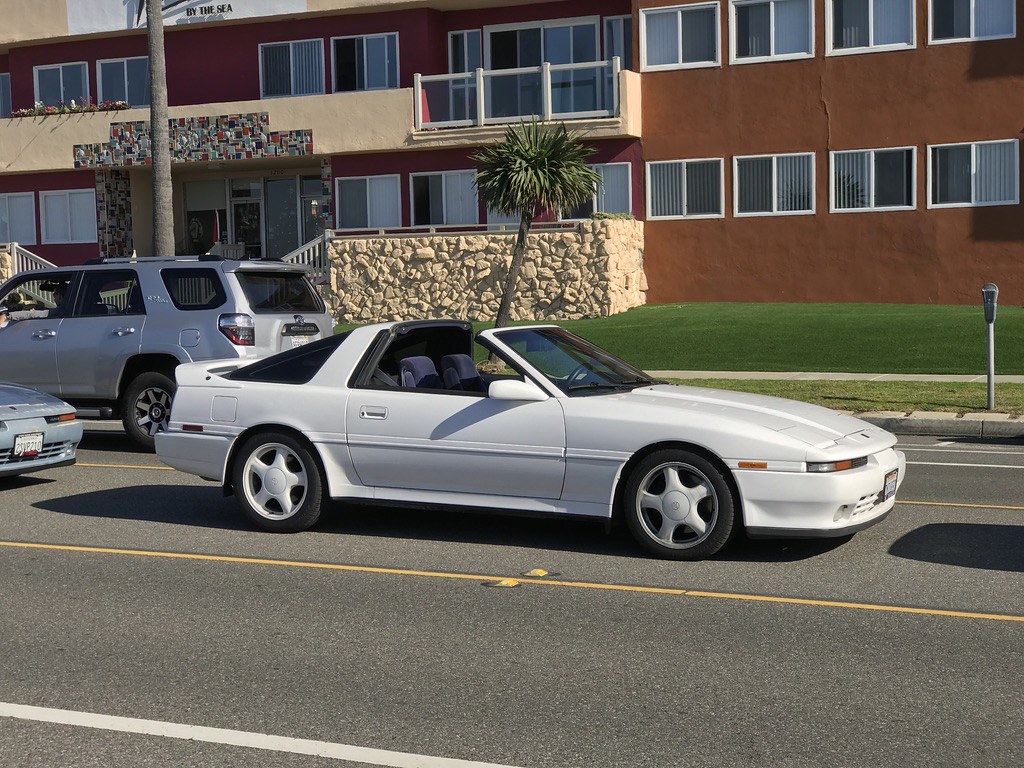 51308933192_92521658fc_b.jpg