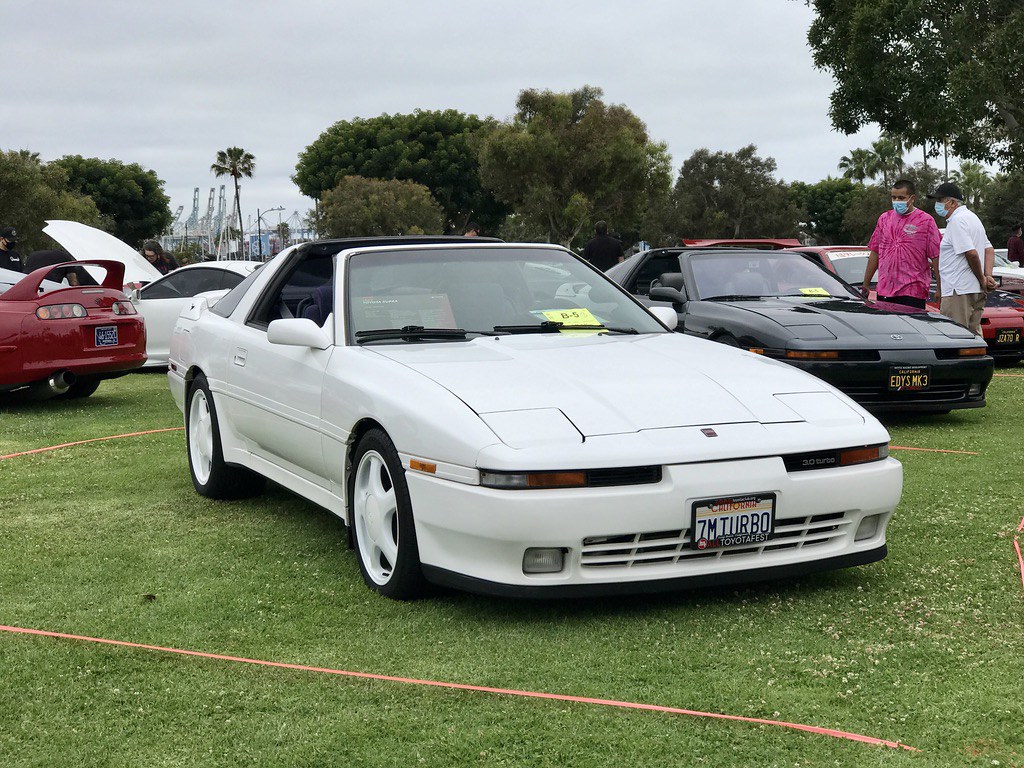 51310728445_6728a4e9cf_b.jpg