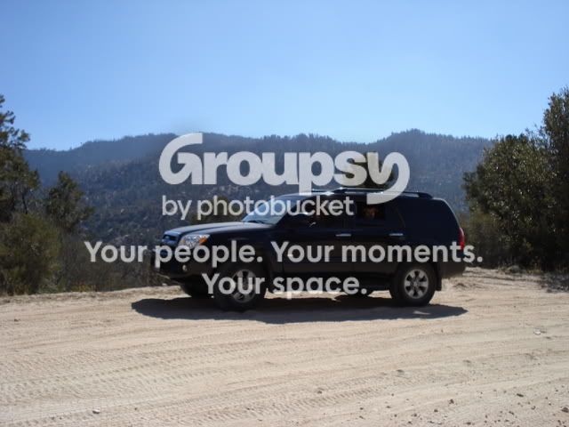 bigbear10-07011.jpg~original