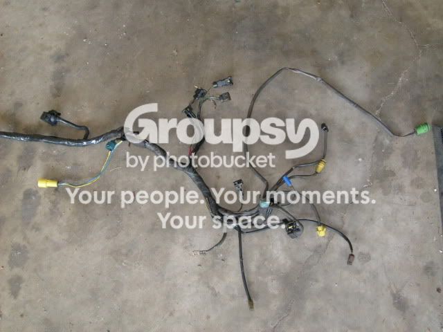 S6300361.jpg~original