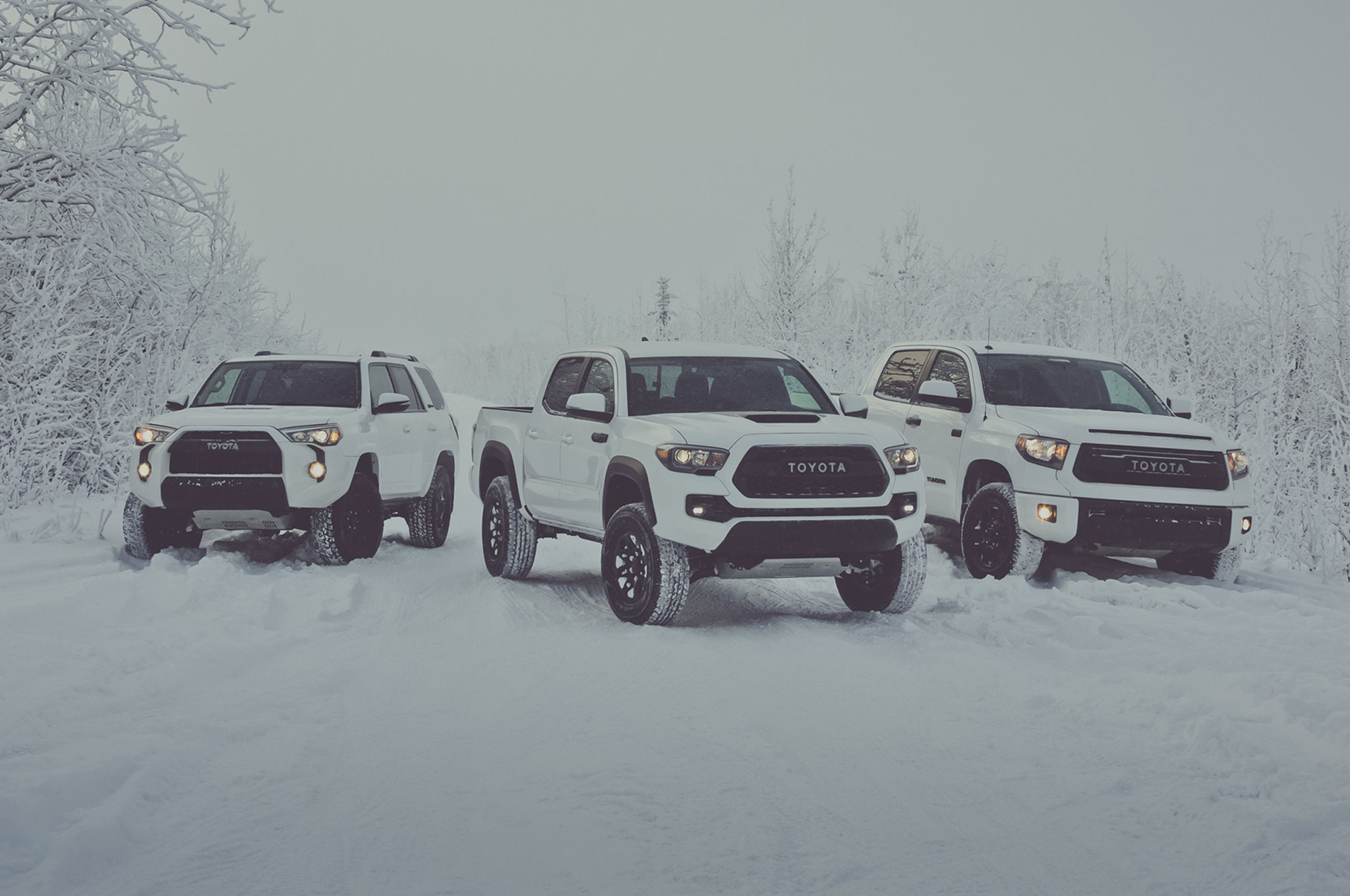 2017-Toyota-group-on-snow.jpg