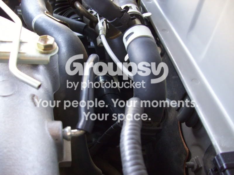 100_0710.jpg~original