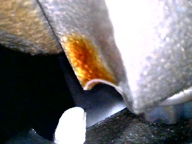 endoscope4.jpg